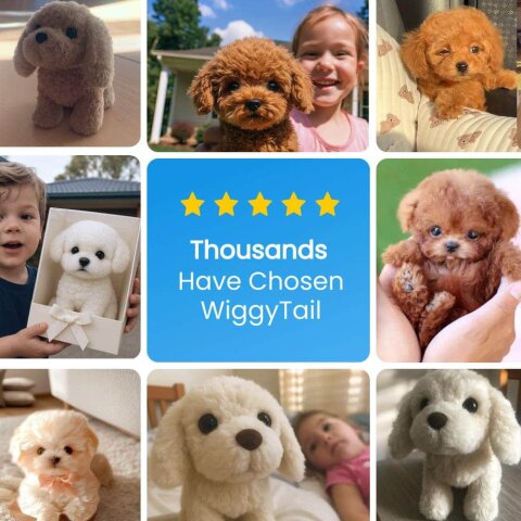 WiggyTail image